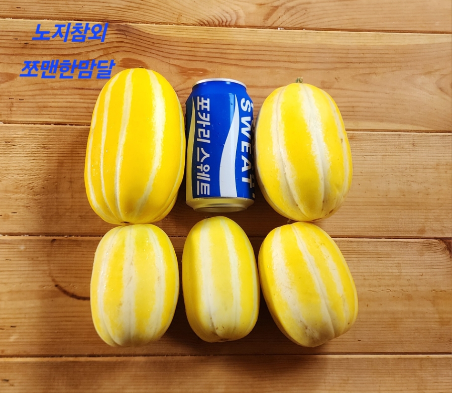 쪼맨한맘달 이미지