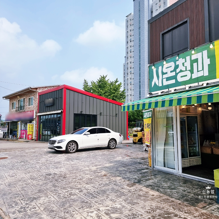 시온청과 이미지