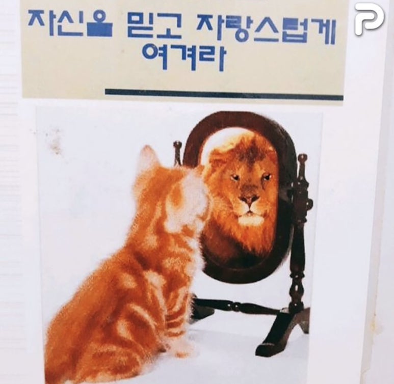 벨트레이닝 이미지