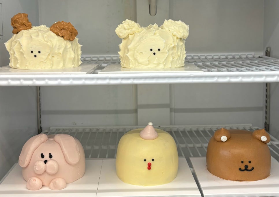 켘켘 이미지