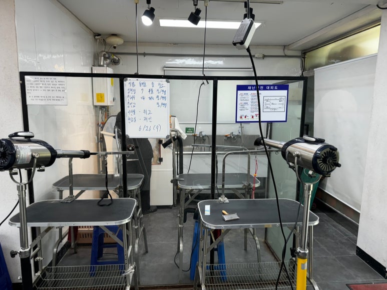 프로펫애견미용학원 이미지