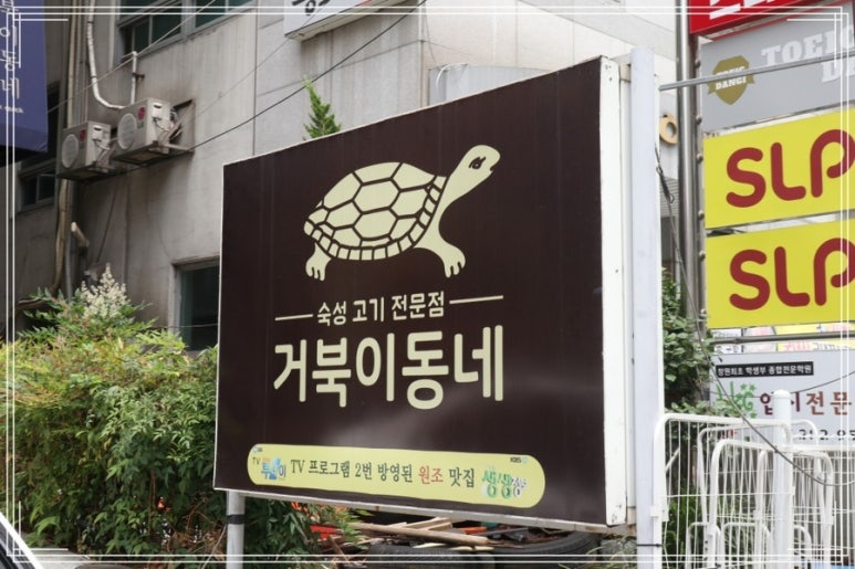 거북이동네창원 이미지