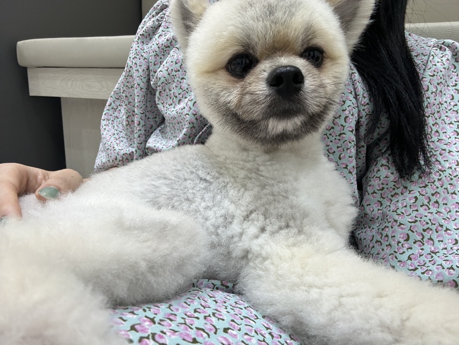 보스뷰티랩 이미지