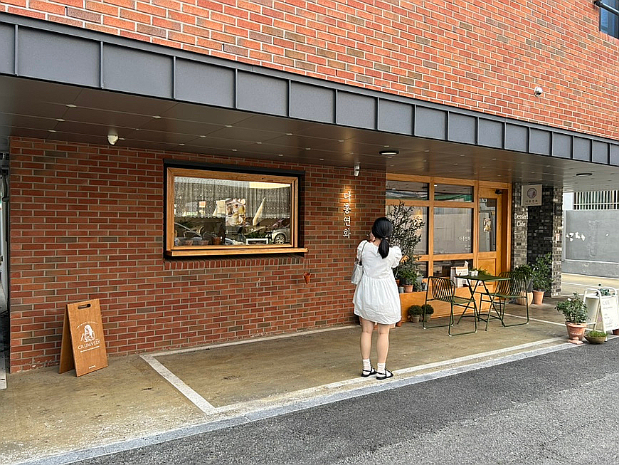 다홍연화 이미지