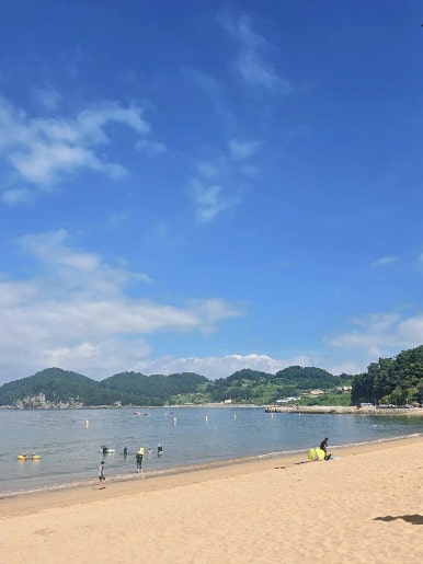비에이치씨남면 이미지