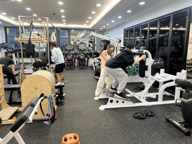 피티바디 이미지