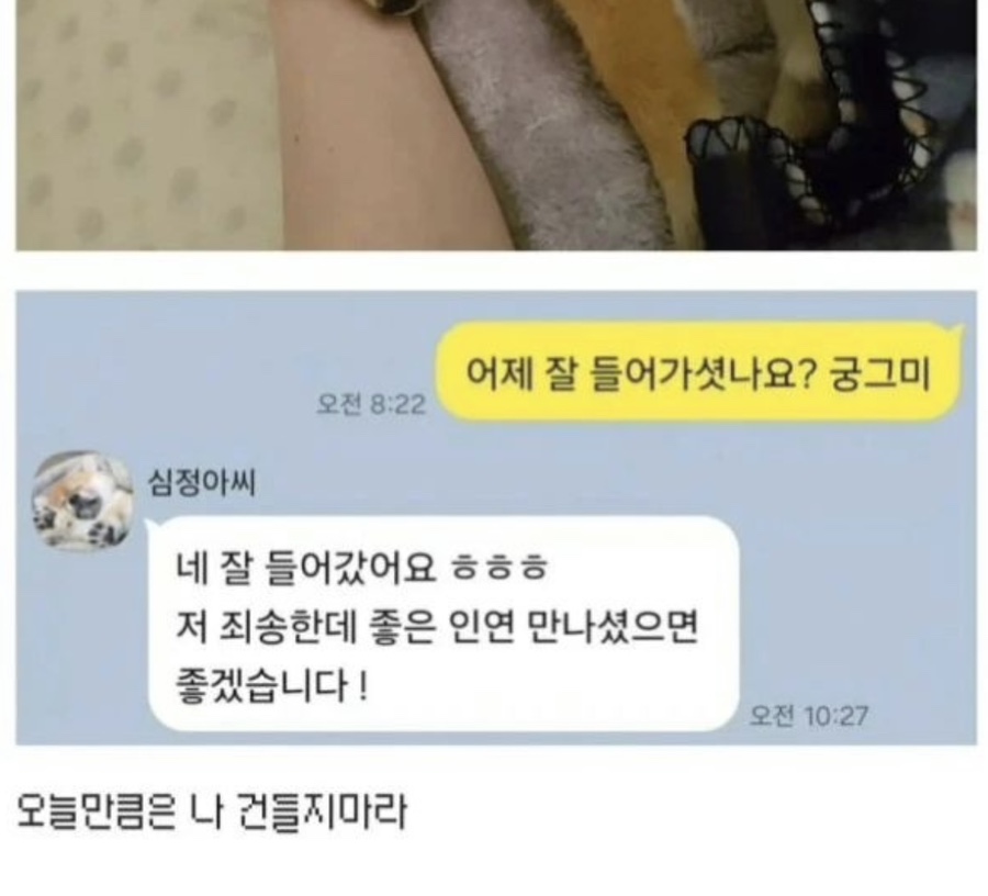 쥬씨송 이미지