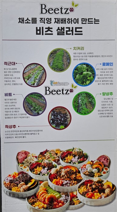 고래한입피자&비츠샐러드 이미지