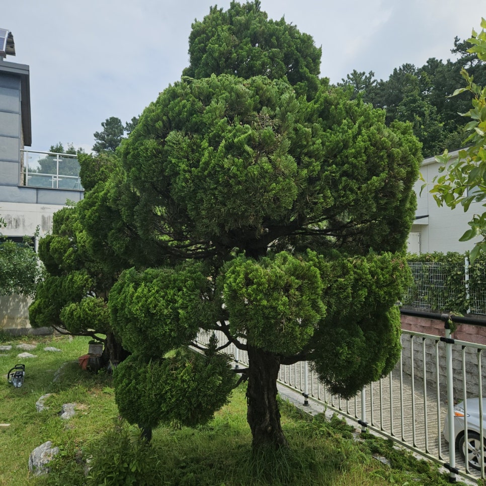 용인조경 이미지
