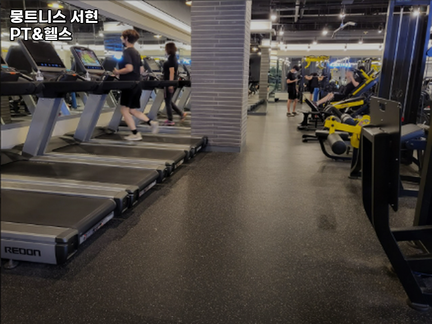 뭉트니스 이미지