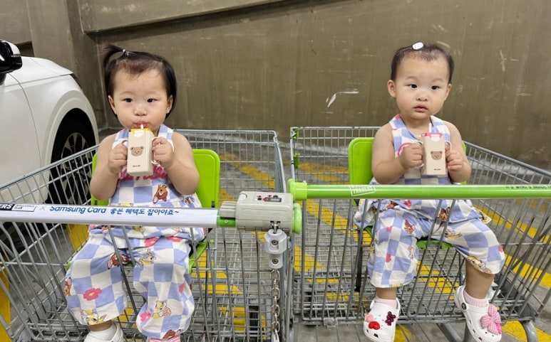 트레이더스 홀세일클럽 안산점 이미지