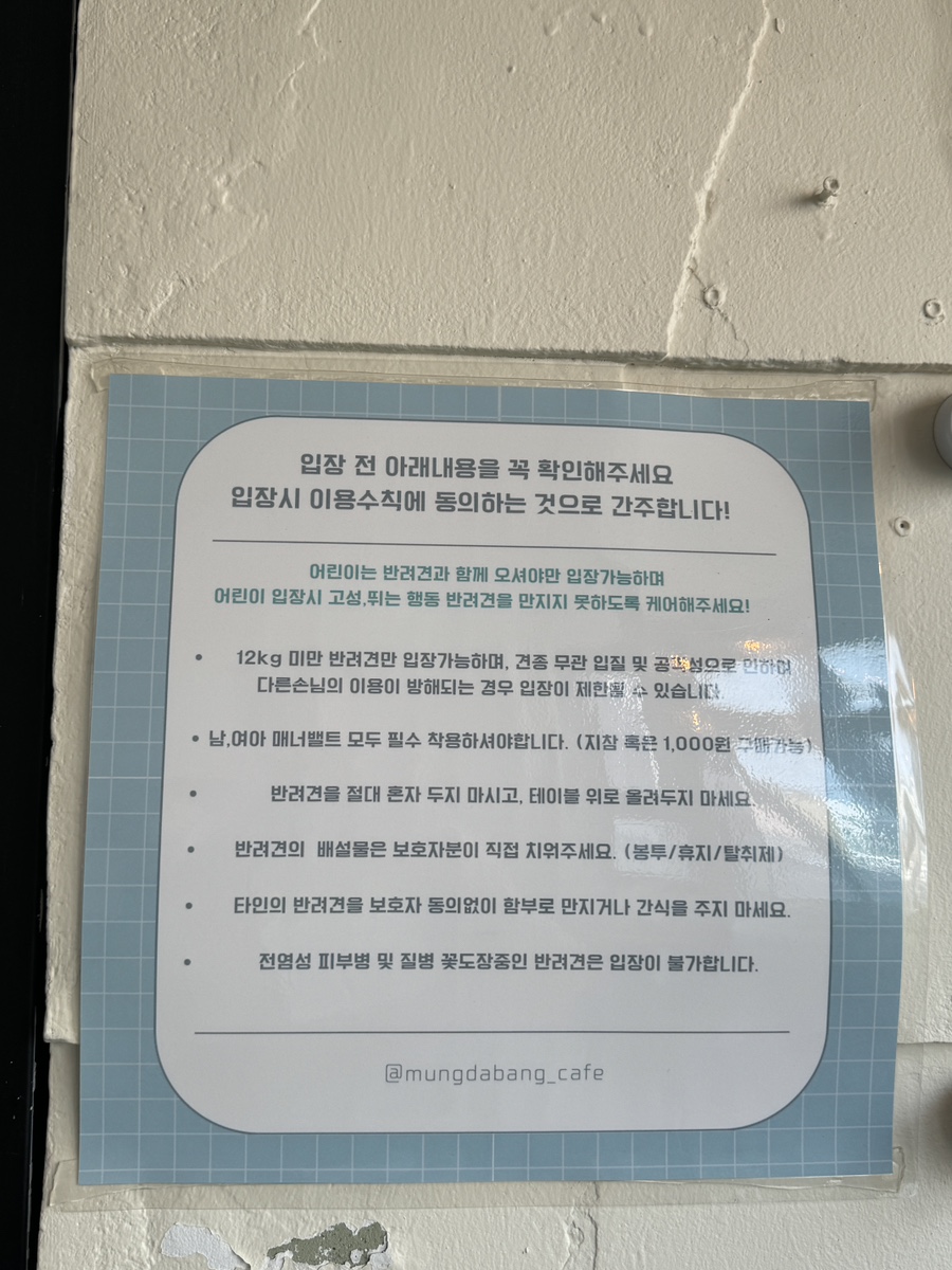 신은다방 이미지