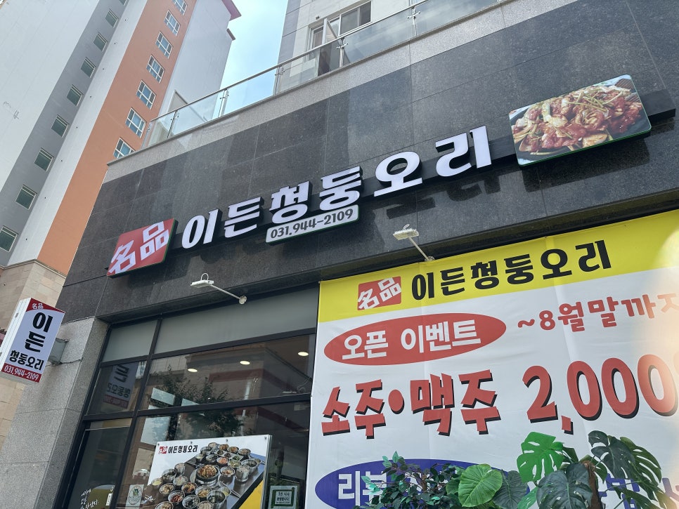 이든청둥오리 이미지