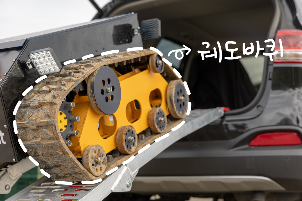 일로스탠다드 이미지