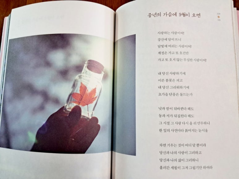 나무법무사사무소 이미지