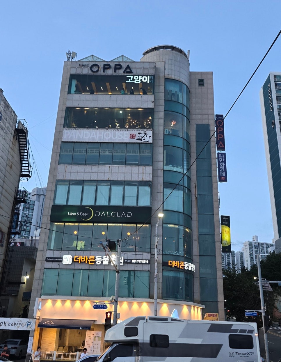 부산고양이까페나비정원 이미지