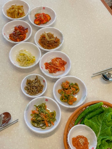 아라도야지 이미지