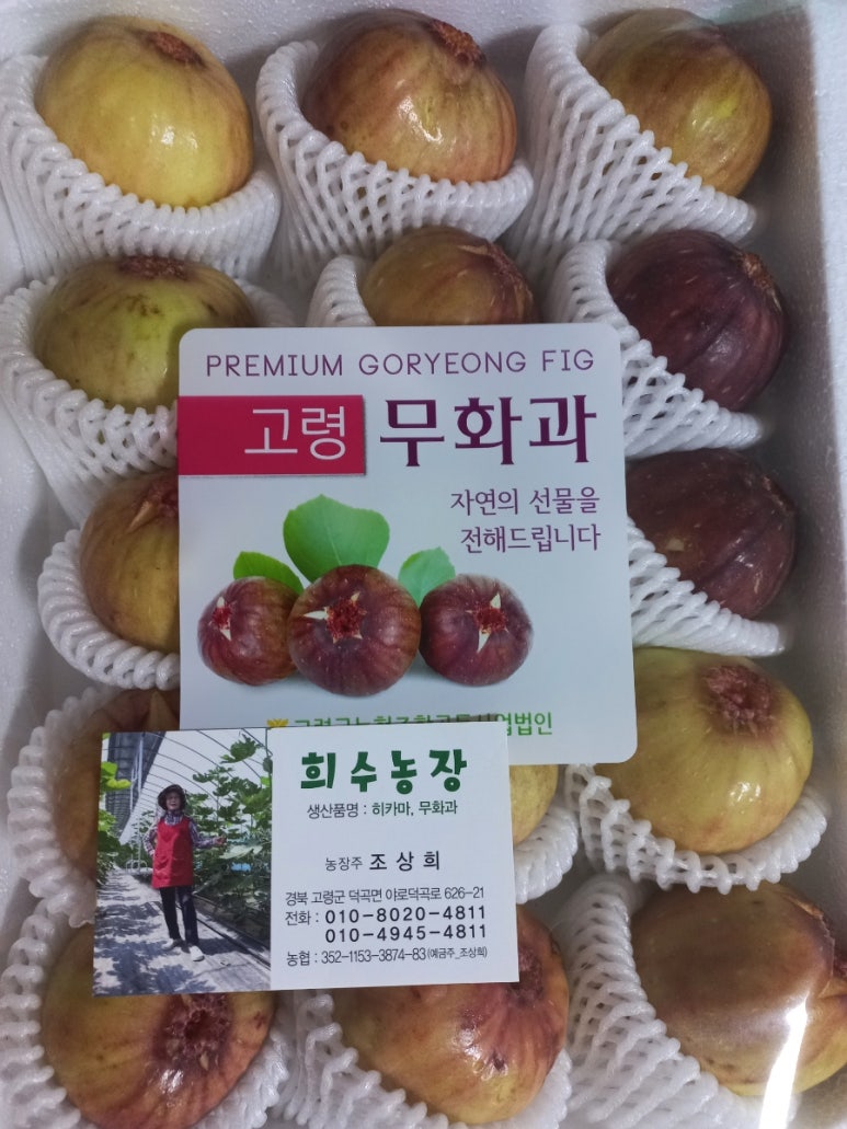 덕곡주유소 이미지