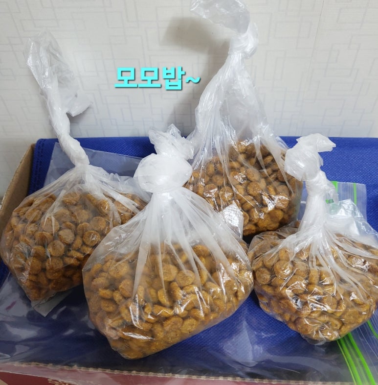 문패밀리 이미지
