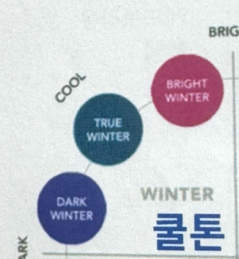 슈어미 이미지