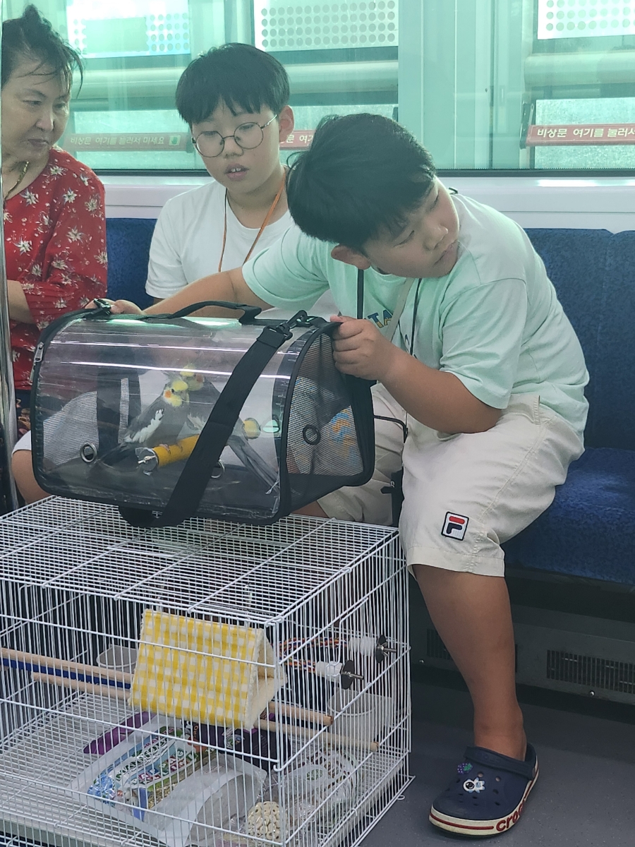 윤브로 이미지