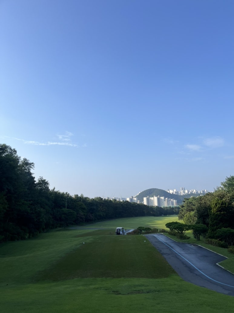 체리코스 이미지