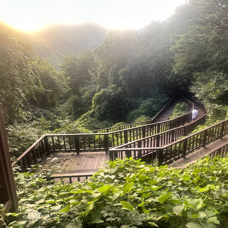 국립산림치유원 문필식당 이미지