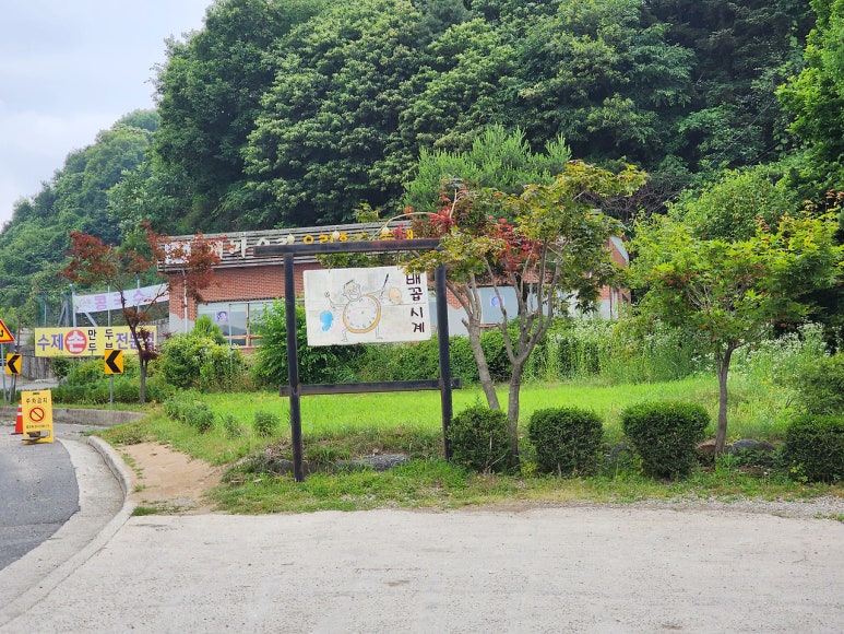 배꼽시계집 이미지