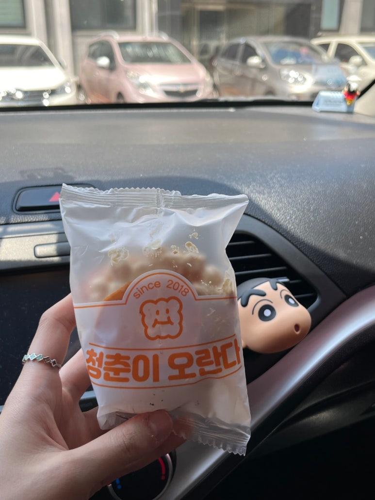 청춘이오란다 이미지
