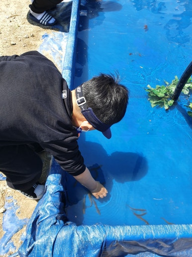 강화무지개글램핑 이미지