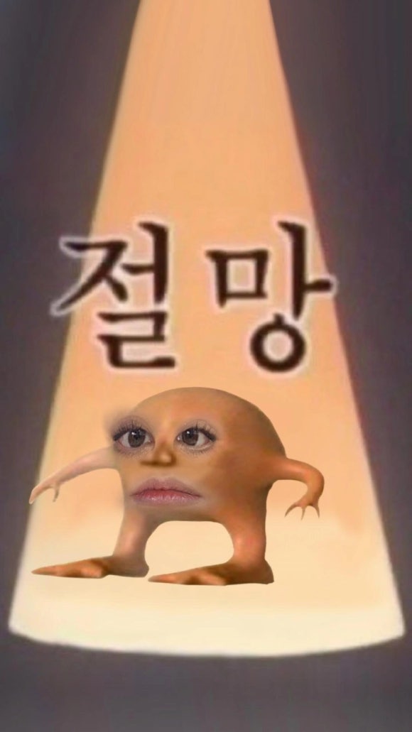 플라시보 이미지