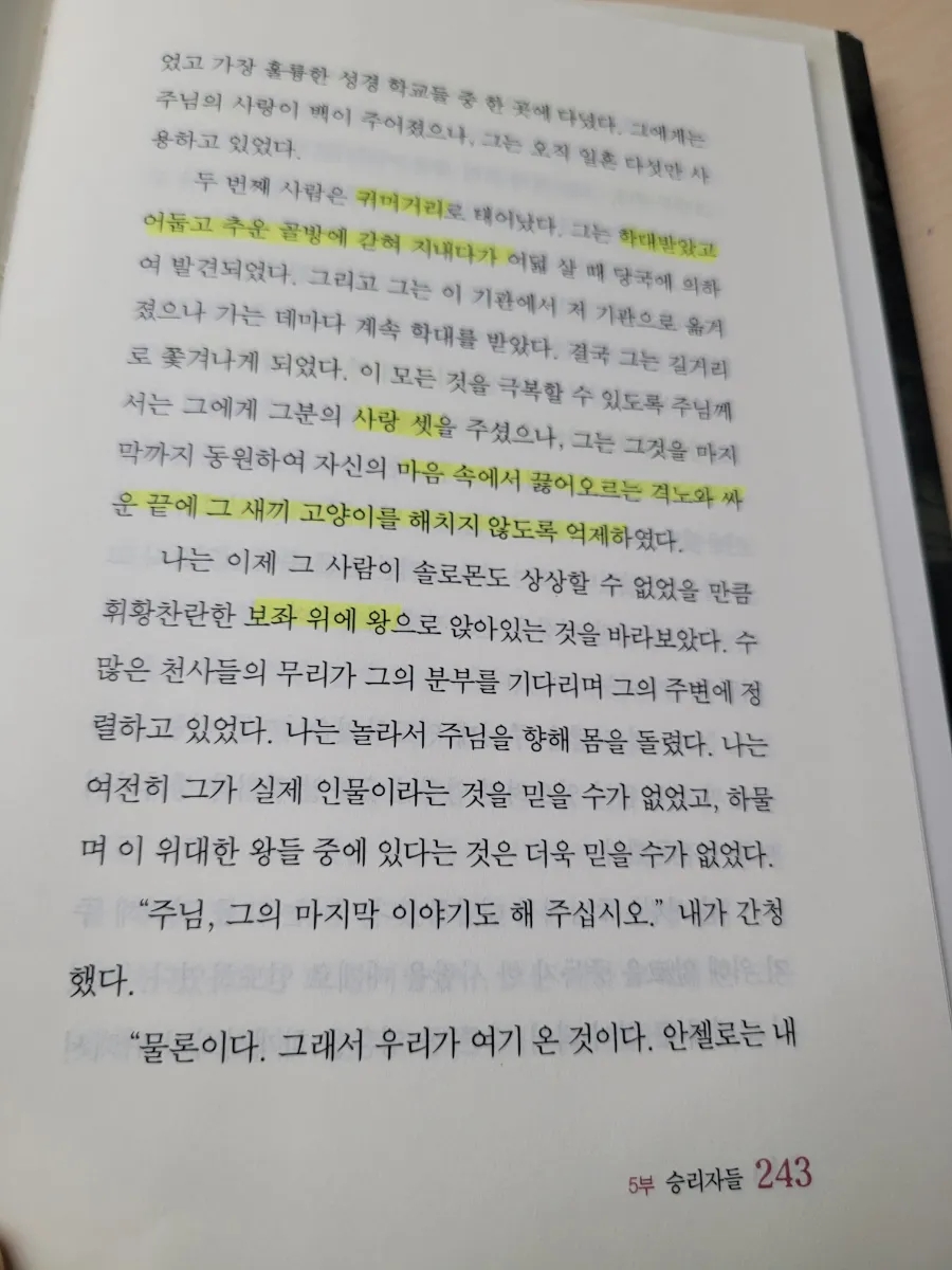 안젤로 빈 이미지