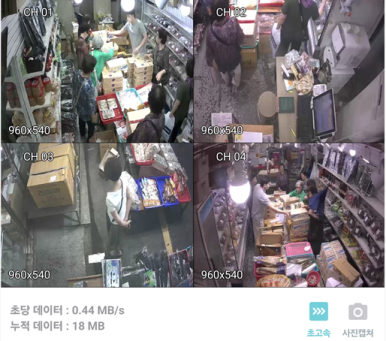 젤리네바다 이미지