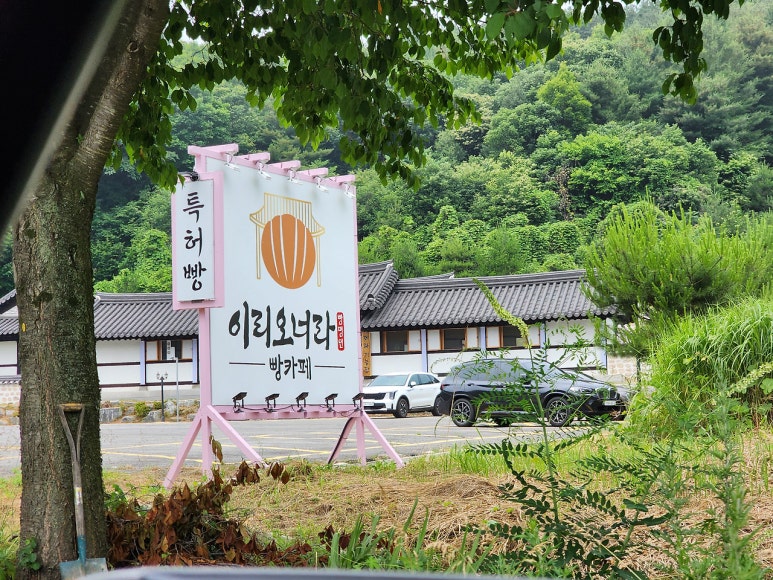 배꼽시계집 이미지