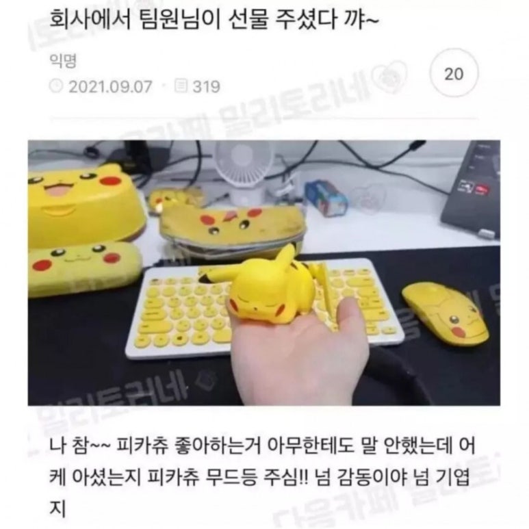 월세계 이미지