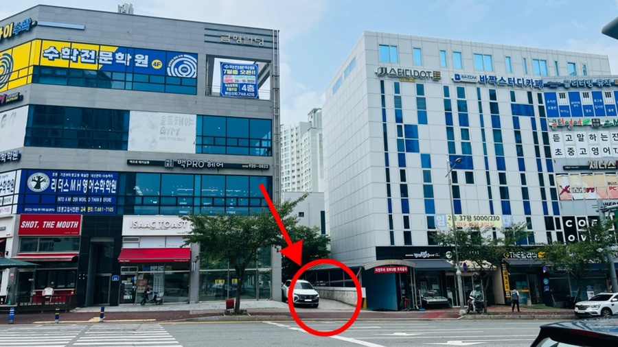 백프로헤어 이미지