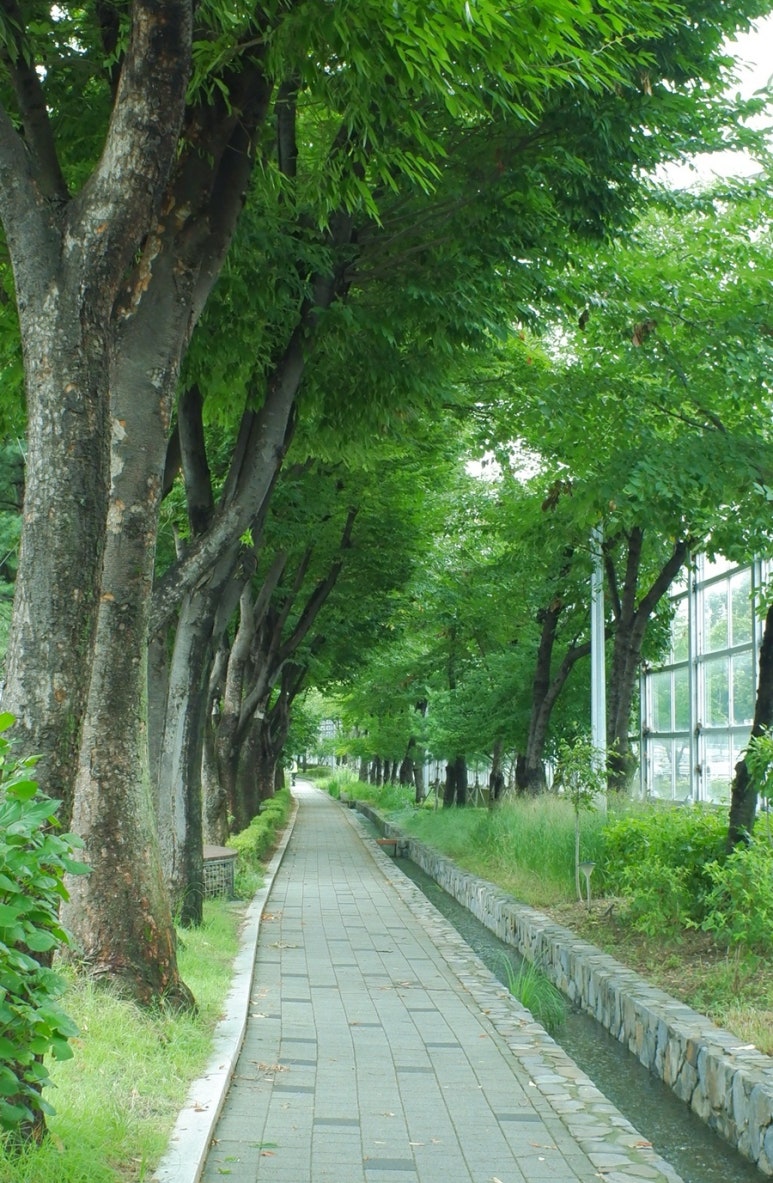 얼로스터리 이미지