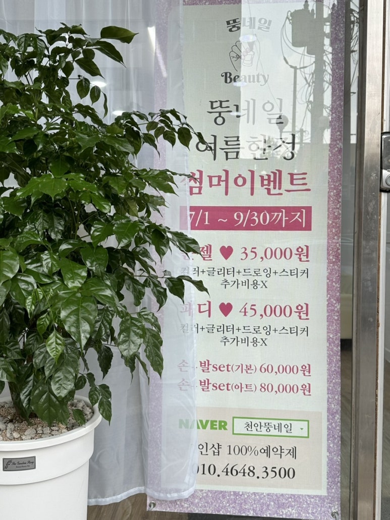뚱네일 이미지