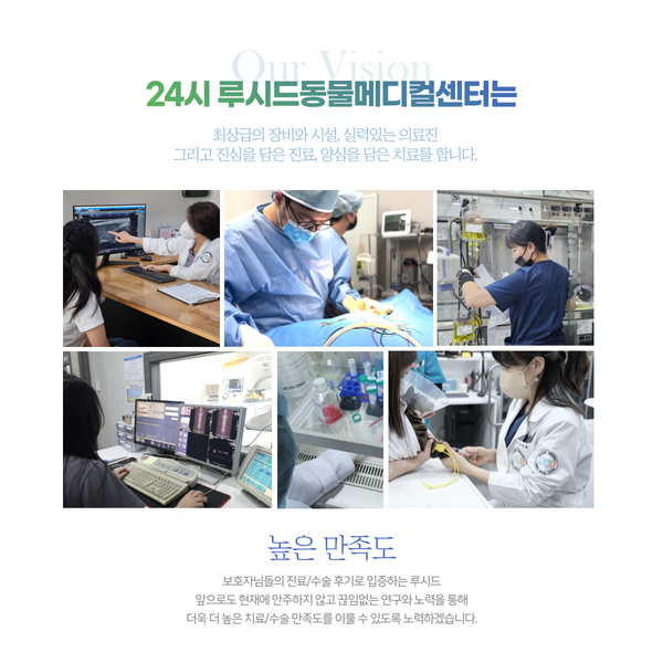 김진영내과 이미지