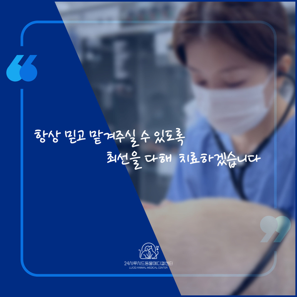 김진영내과 이미지