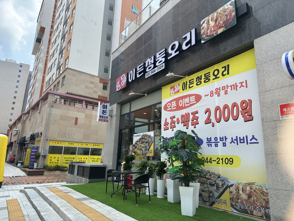 이든청둥오리 이미지