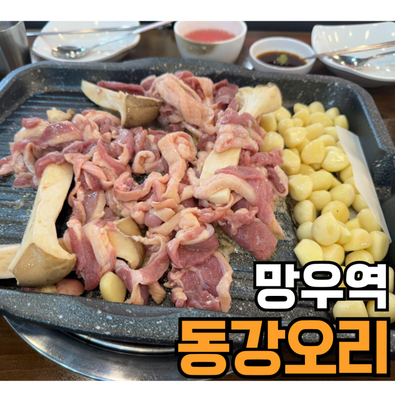 동강오리알 이미지