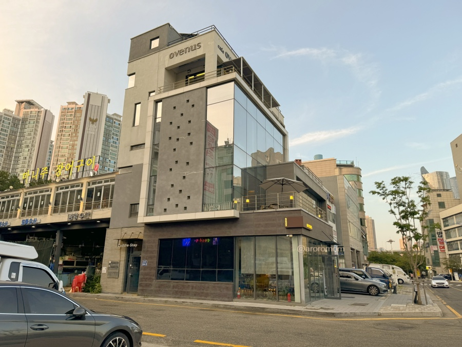 커들스테이 이미지