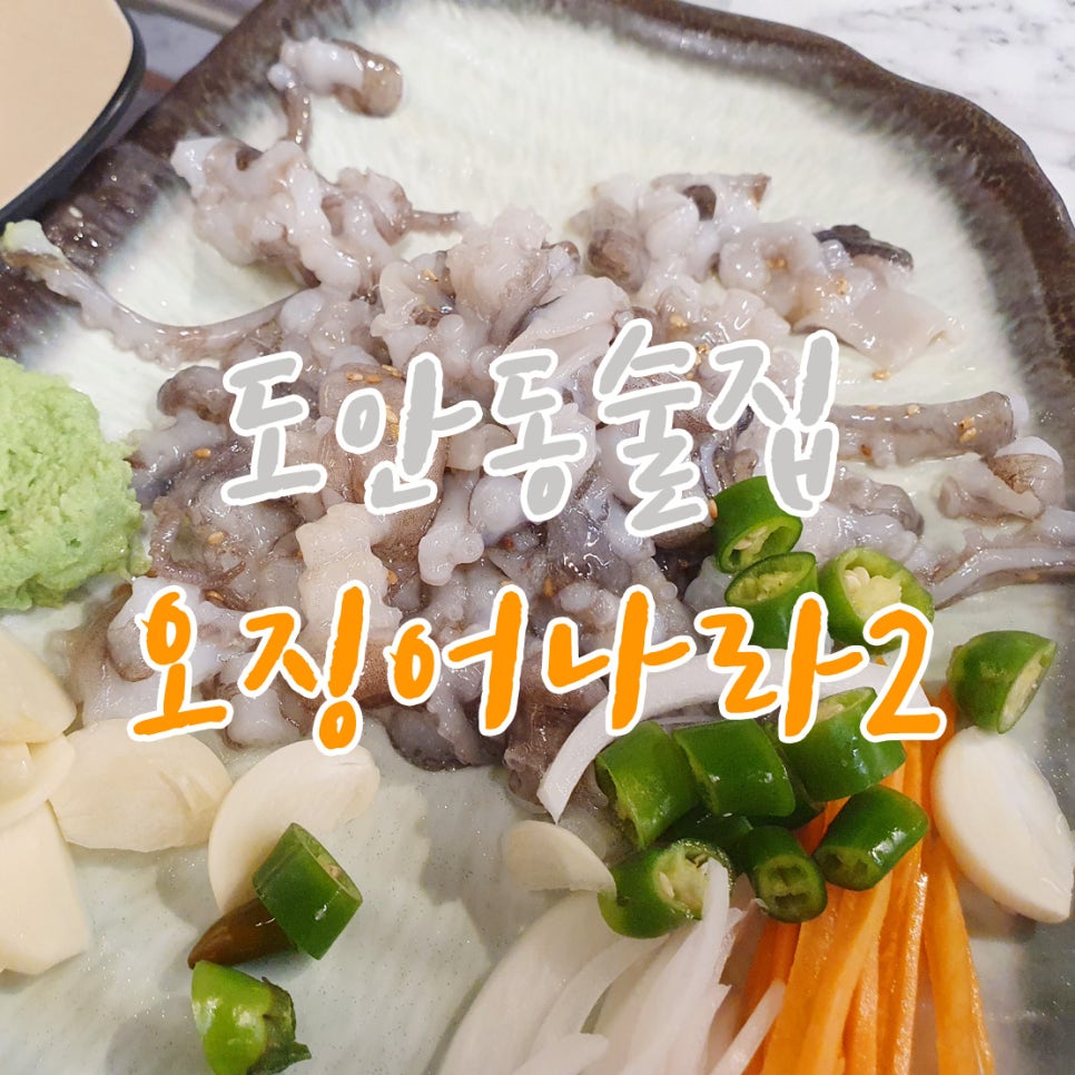 오징어나라2 이미지