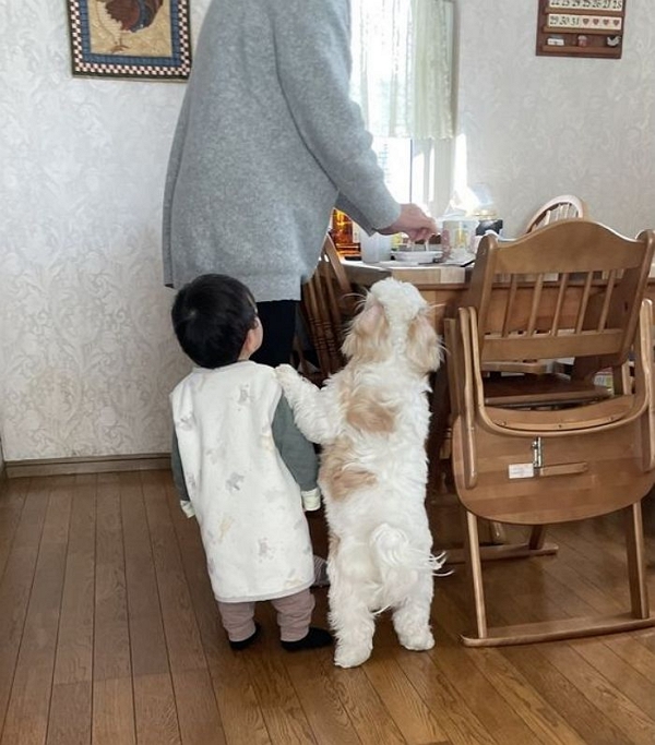꼬마식탁 이미지