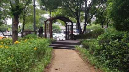 숲길 이미지