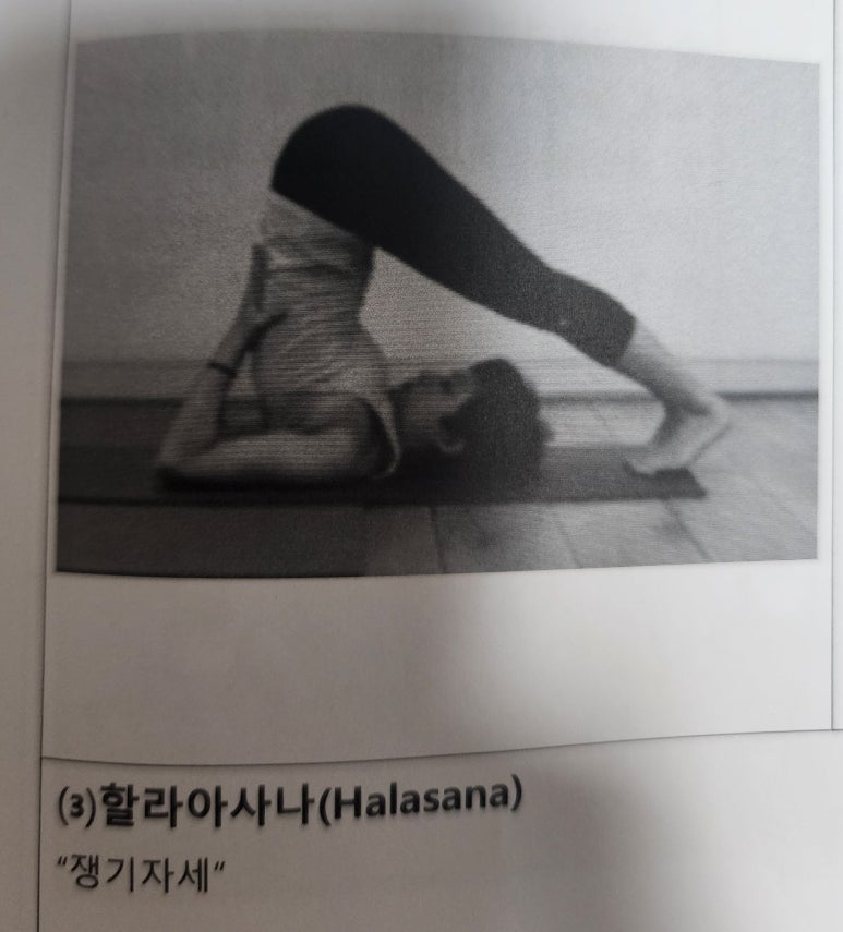 그;林 이미지