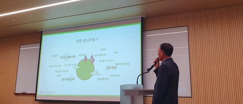 리본나무 이미지