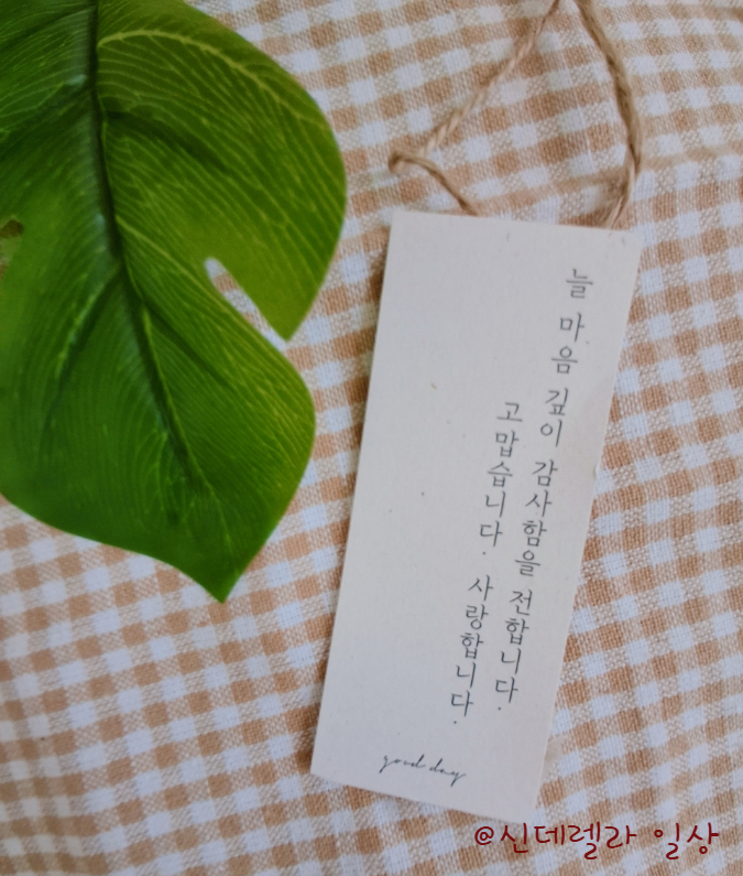 굿데이솝 이미지
