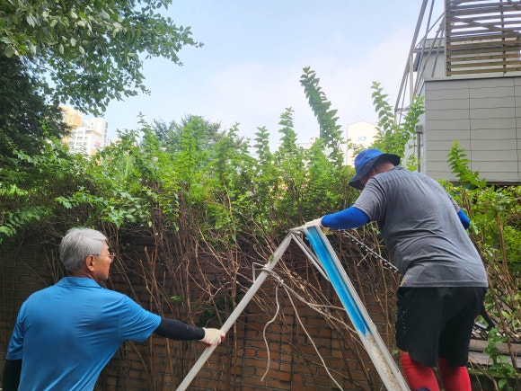보보조경 이미지